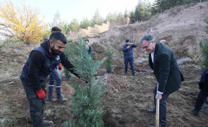 Hacılar’da bin 111 Fidan Toprakla Buluştu