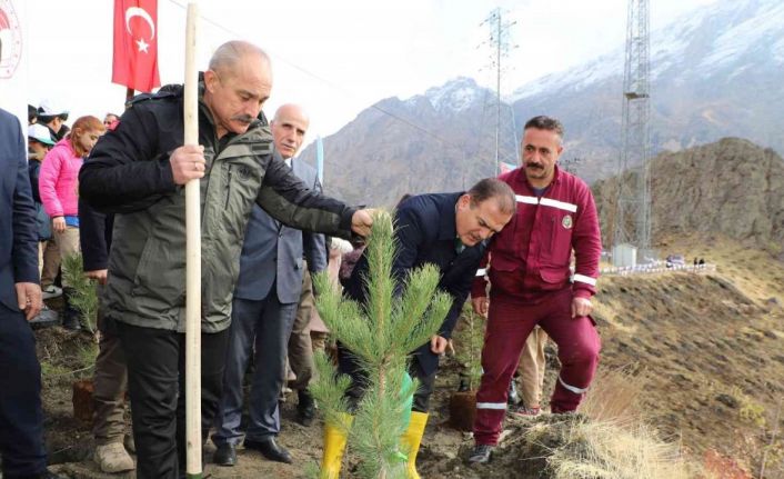 Hakkari’de 2 bin 500 fidan dikildi