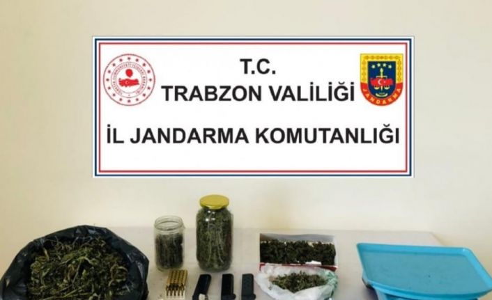 Jandarma’dan uyuşturucu operasyonu