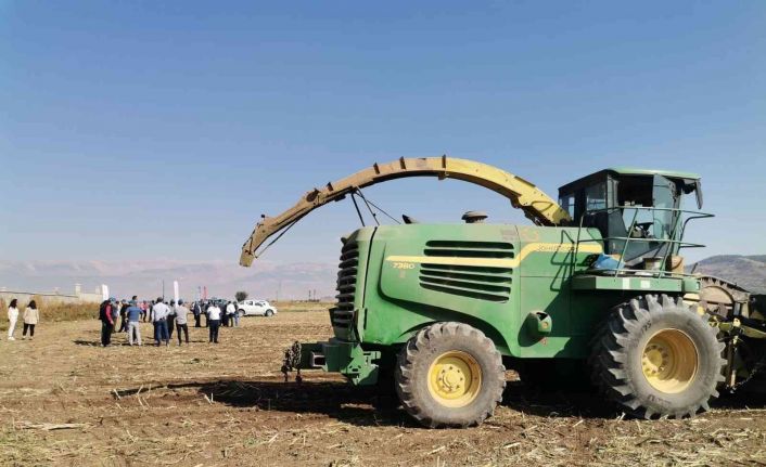 Kahramanmaraş’ta silajlık mısır hasadı