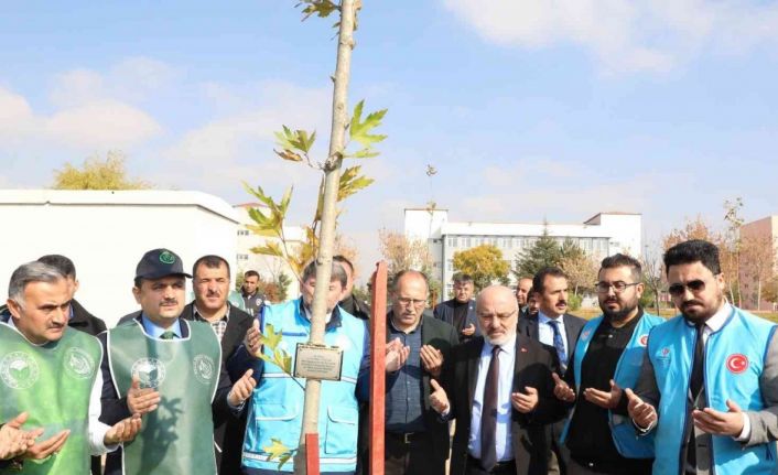 KAYÜ Develi Seyrani Kampüsünde Ağaçlandırma Çalışması Yapıldı