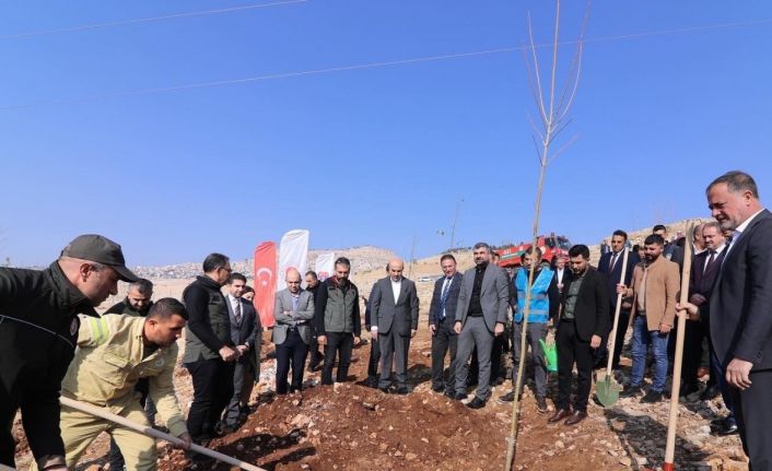 Mardin’de 23 bin 700 fidan dikildi