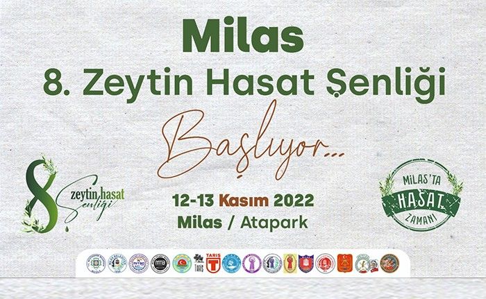 Milas’ta bu hafta sonu zeytin hasat şenliği düzenlenecek