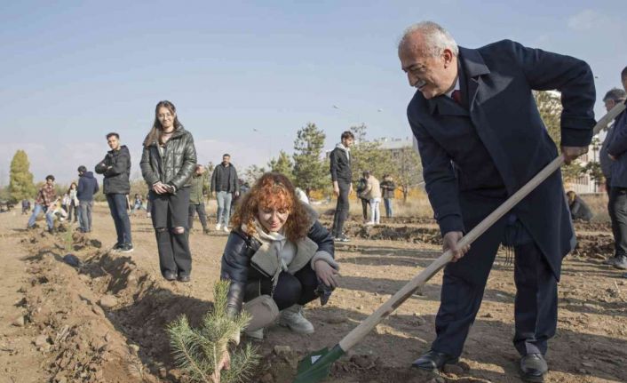 Milli ağaçlandırma gününde fidanlar toprakla buluştu