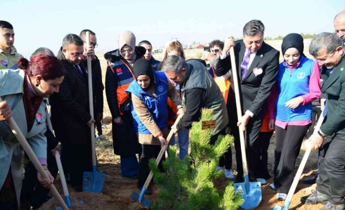 Milli Ağaçlandırma Günü’nde toprak fidanlarla buluştu