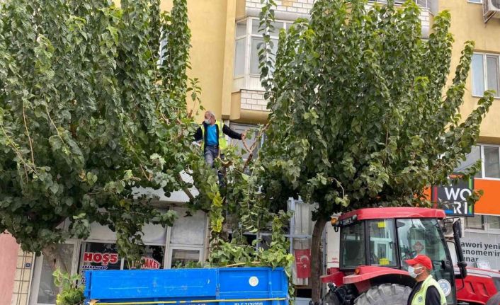 Mut’ta temizlik çalışmaları