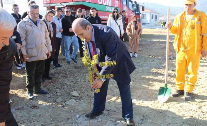 Osmaneli’nde 2 bin akasya fidanı toprakla buluştu