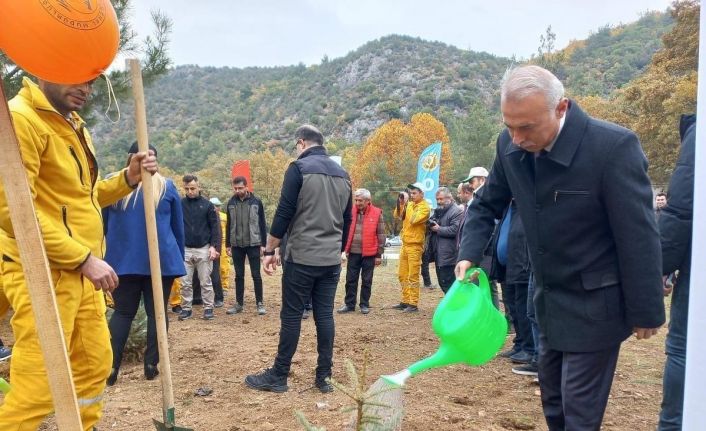 Taşova’da “Türkiye Yüzyılına Nefes” oldular