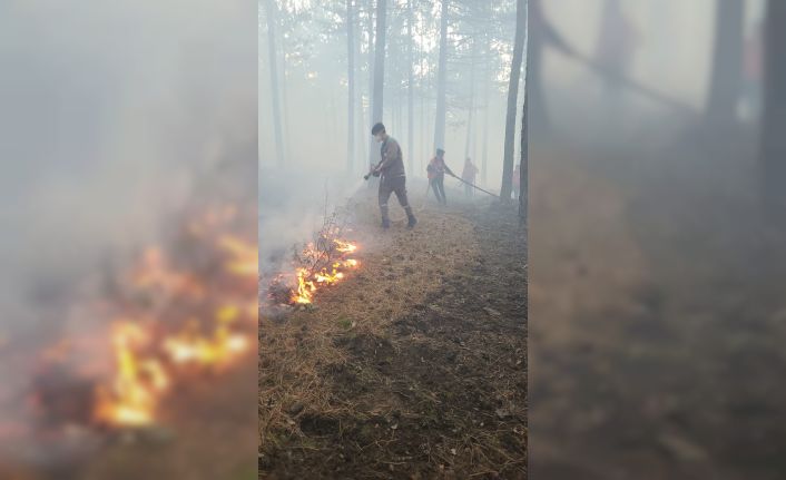 Tavşanlı’daki orman yangını kısa sürede söndürüldü