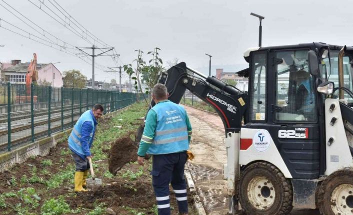 Tekkeköy’de 1500 fidan toprakla buluştu