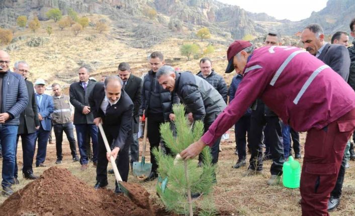 Tunceli’de 20 bin fidan toprakla buluşturuldu