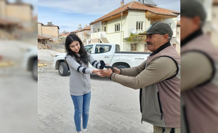 Yaralı Saksağan Tedavi Edilecek