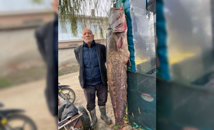 2 metrelik balık oltaya takıldı: Yoldan geçen telefona sarıldı