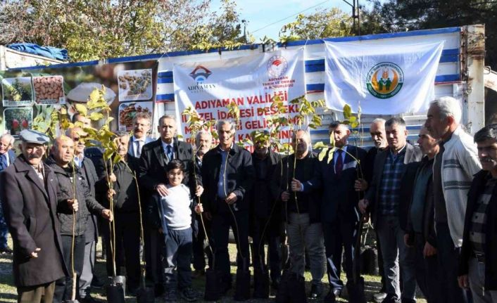 Adıyaman’da çiftçilere 6 bin ceviz fidanı dağıtıldı