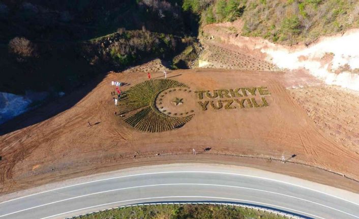 Artvin’de 36 bin fidanla “Türkiye Yüzyılı” logosu işlendi