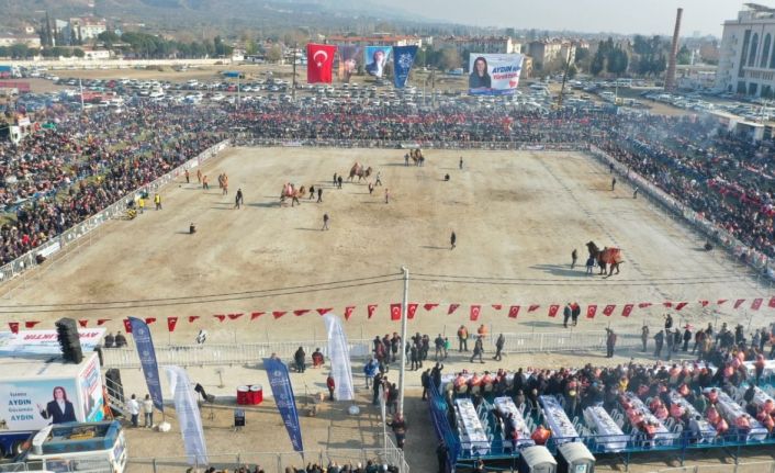 Aydın’da 160 deve kıran kırana güreşti