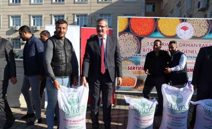 Çiftçilere yüzde 75 hibe destekli mercimek dağıtıldı