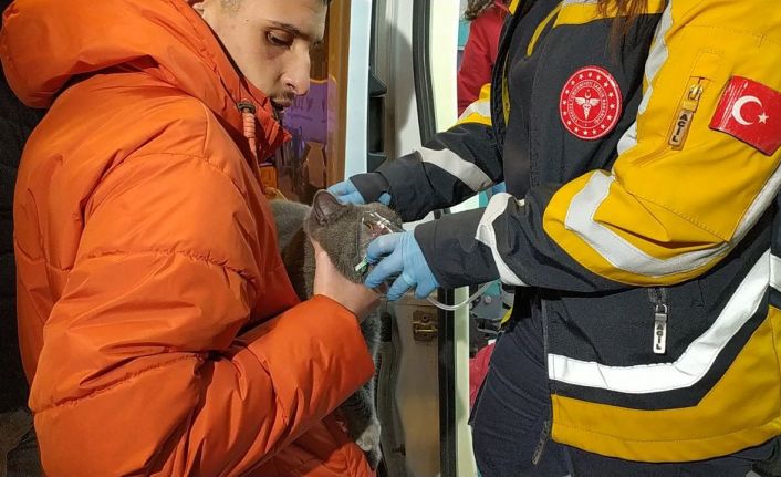 Dumanlar arasında kalan kedi, polis ekiplerince kurtarıldı