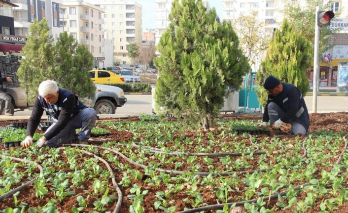 Kilis’te sokaklara kış bakımı