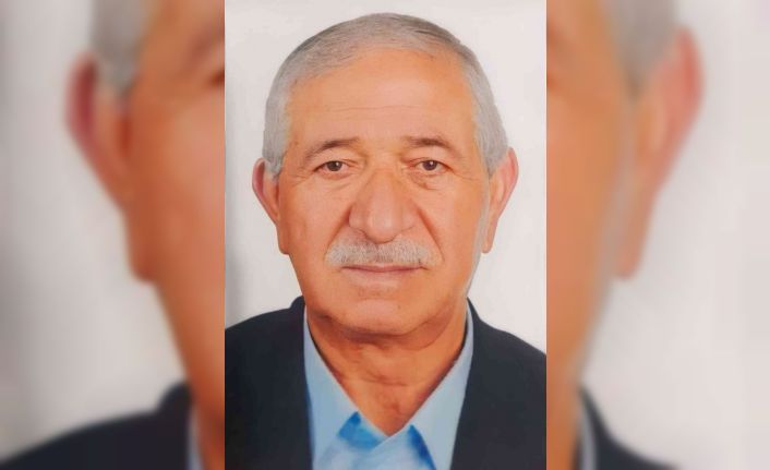 Mantar toplamaya giderken kazada yaralanan yaşlı adam hayatını kaybetti