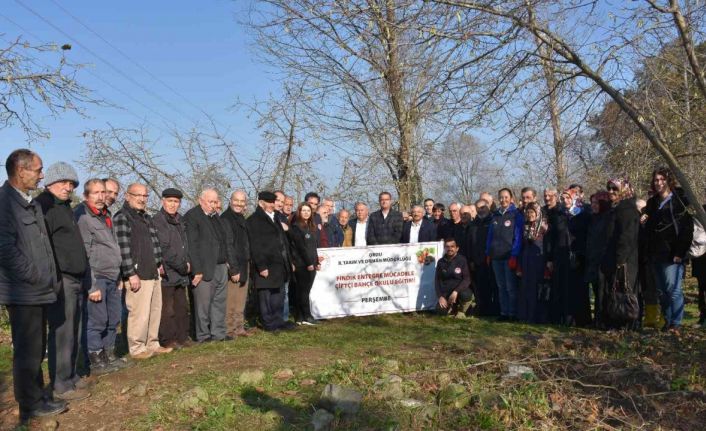 Ordu’da fındık üreticilerine iyi tarımın önemi anlatıldı