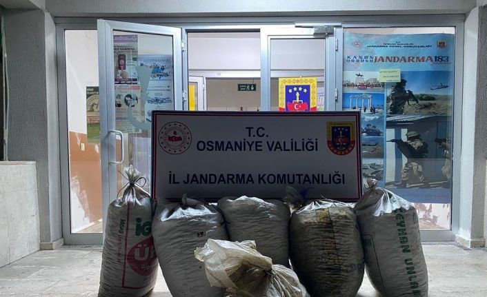 Osmaniye’de 300 kilo yerfıstığı çalan 2 şüpheli yakalandı