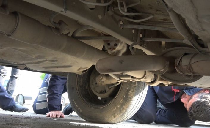 Otomobilin motor kısmına girdi, dönerin kokusunu alınca çıktı