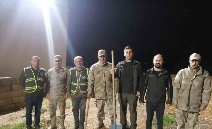 Siirt’te kaçak avcılık yapanlara para cezası uygulandı