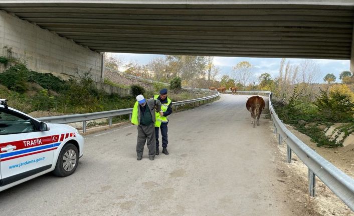 Sinop’ta “Reflektif Yelek Giy Görünür Ol Projesi"