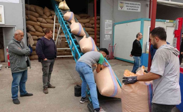 TMO’nun fındık alımları 31 Aralık tarihine kadar devam edecek