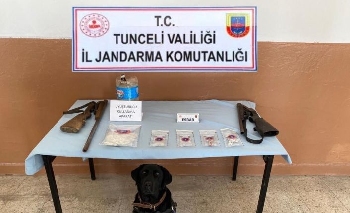 Tunceli’de uyuşturucu operasyonu: 11 gözaltı