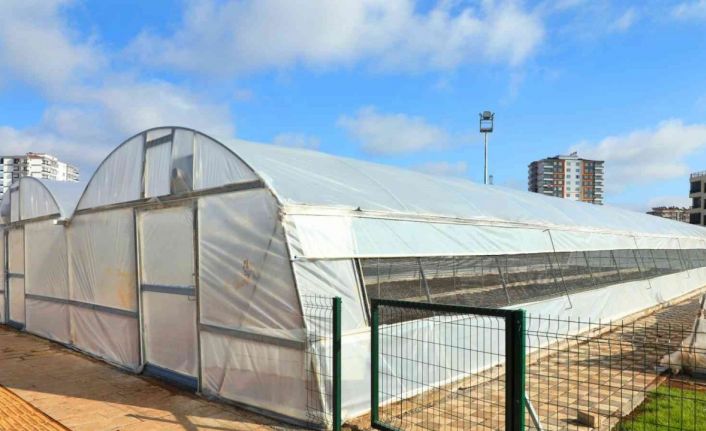 Diyarbakır’da organik sebze ve meyve üretimi başladı