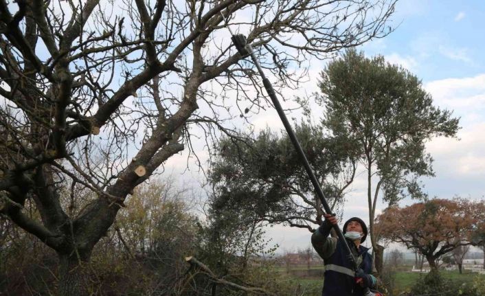 Efeler’in mezarlıklarında budama mesaisi başladı