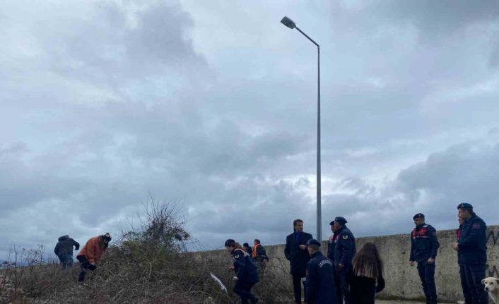 Helaldı Limanı’nda ihbar üzerine harekete geçtiler