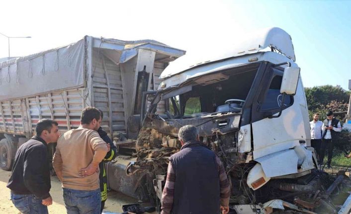 Köpeğe çarpmamak için ani firen yapınca tırlar çarpıştı