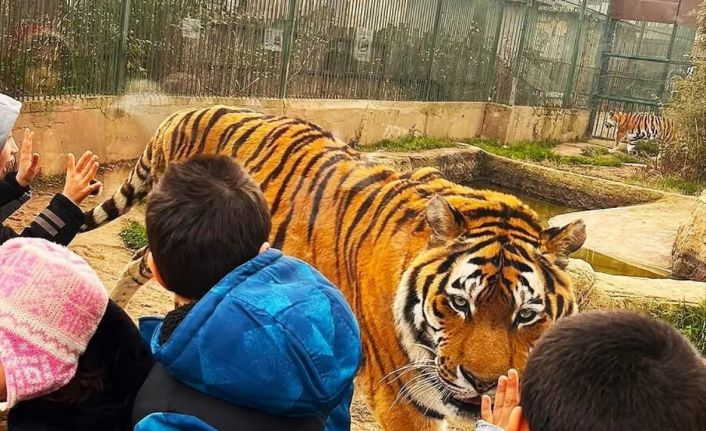 Sevgi evlerinde kalan çocuklar ara tatilde doyasıya eğlendi