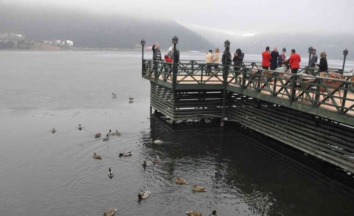 Yaban ördekleri soğuk havaya rağmen Abant’ı mesken tuttu