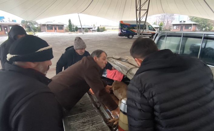 Artvin’de vatandaşların bitkin halde bulduğu karaca görevlilere teslim edildi