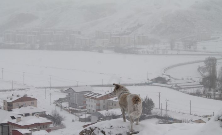 Bayburt’ta kar yağışı ve dondurucu soğuklar etkili oluyor