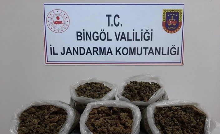 Bingöl’de 3 kilo esrar ele geçirildi: 2 gözaltı