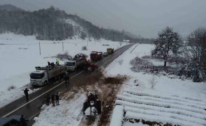 Depremzedeleri Bartın ormanlarından tedarik edilen odunlar ısıtacak