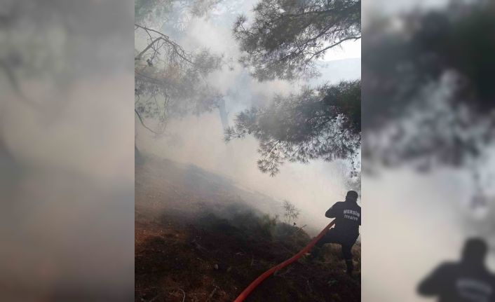 Mersin’de orman  yangını, kontrol altına alındı