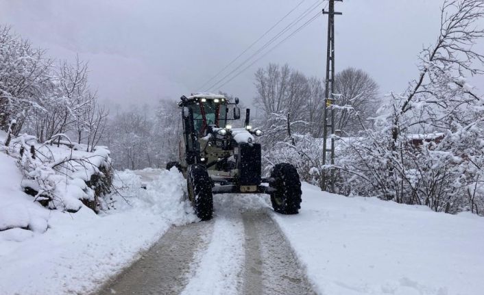 Ordu’da karla mücadele başladı