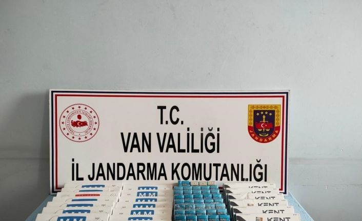 Van’da gümrük kaçakçılığı operasyonu