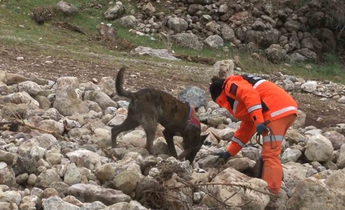 1,5 yaşındaki Zeynep hassas burunlu köpek ile aranıyor