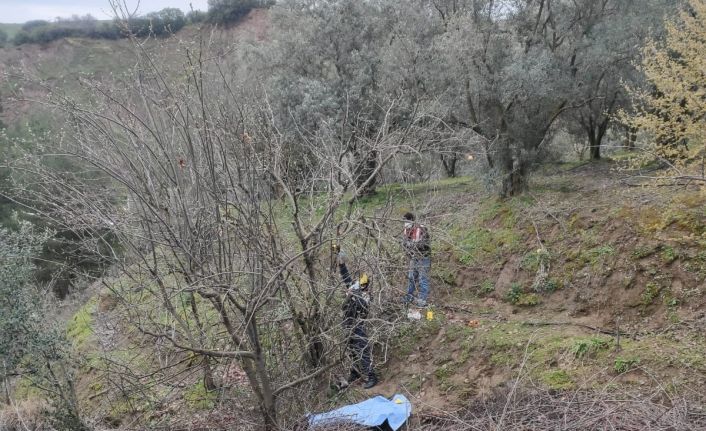 Ağaçtan düşen çiftçi hayatını kaybetti