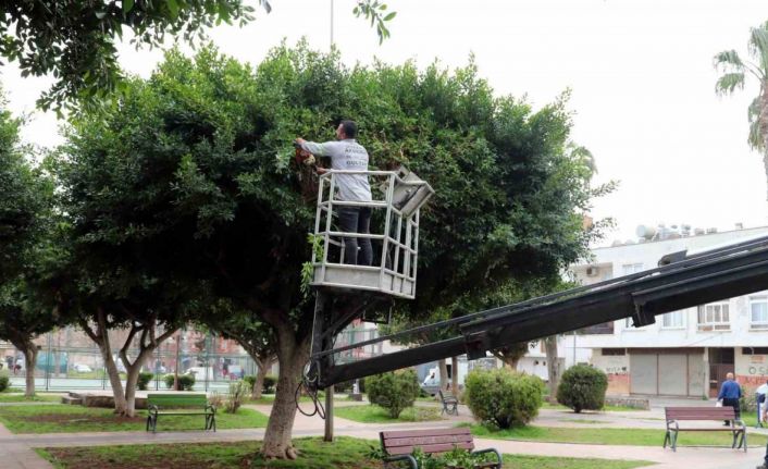 Akdeniz’de park, bahçe ve yeşil alanlar yenileniyor