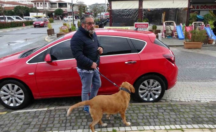 Antalya’da Alman vatandaşı bu kez de köpekle birlikte otomobili çaldı