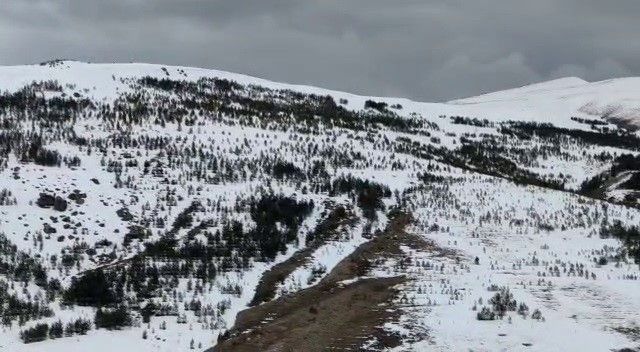 Aşkale bahar mevsiminde beyaza büründü