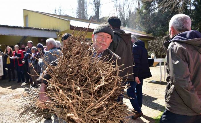 Balıkesir Büyükşehir’den çiftçiye hünnap ve mürdüm eriği desteği